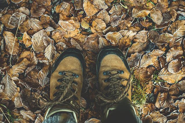 boty v listí