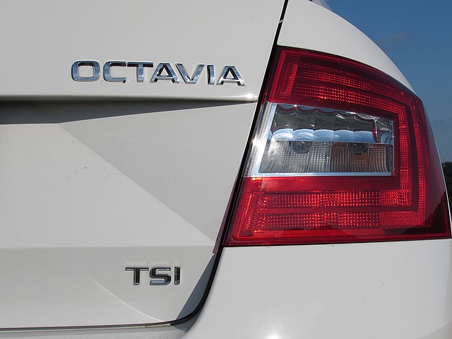 octa