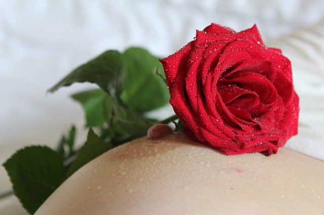 růže na prsu.jpg